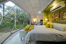 The Honey Dome - Image 2