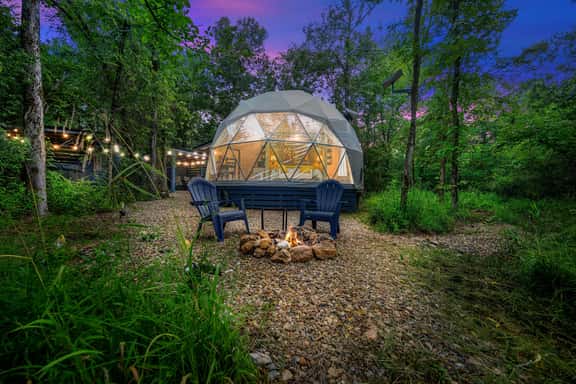 The Honey Dome - Image 1