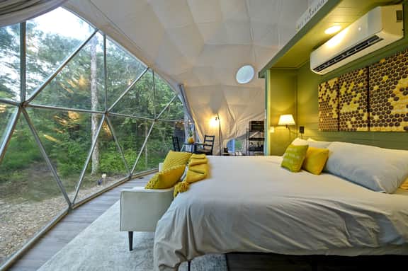 The Honey Dome - Image 2